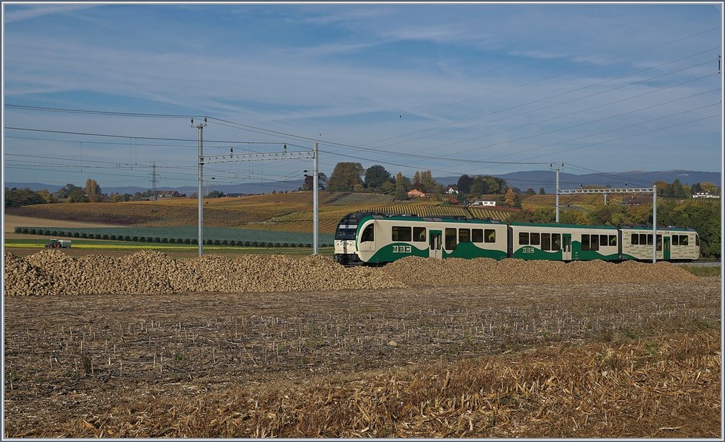 A BAM local train by Chigny. 
17.10.2017