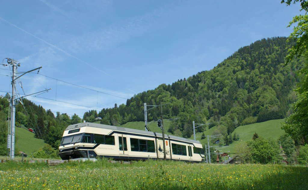 A CEV GTW 2/6 on the Golden Pass Line (MOB) by Les Avants.
20.05.2009