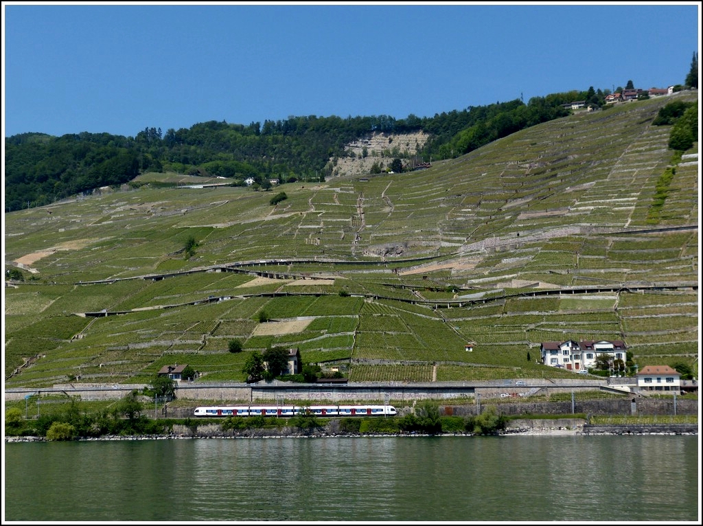 A Flirt is running along the vine terraces of Lavaux on May 26th, 2012.