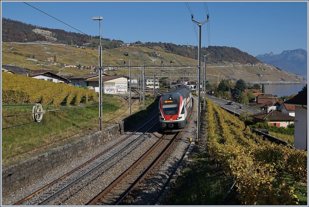 A SBB RABe 511 on the way to Geneva in Cully.
16.10.2017