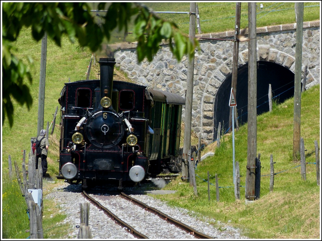 A steam train of the Blonay Chamby heritage railway is running near the stop Cornaux on May 27th, 2012.