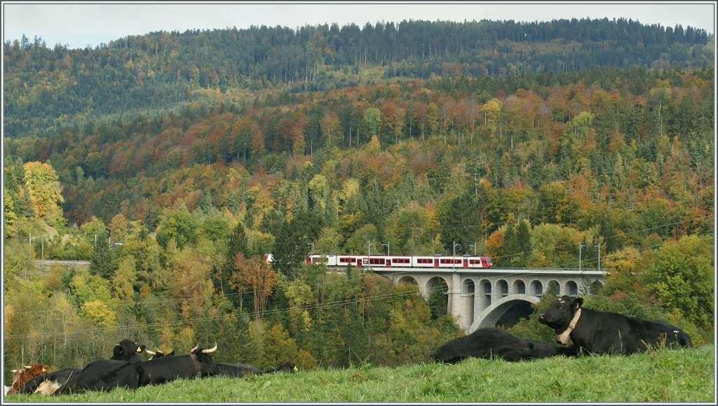 A Travys Local Train between Vallorbe and Le Day.
11.10.2012