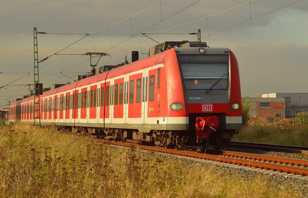 An stoptrain of the line S11 to Bergisch Gladbach class 423 546-1 near Allerheiligen.