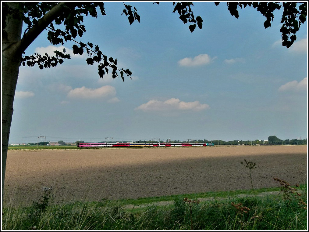 An unknown TRAXX is heading the IC Antwerpen - Amsterdam between Oudenbosch and Zevenbergen on September 3rd, 2011.
