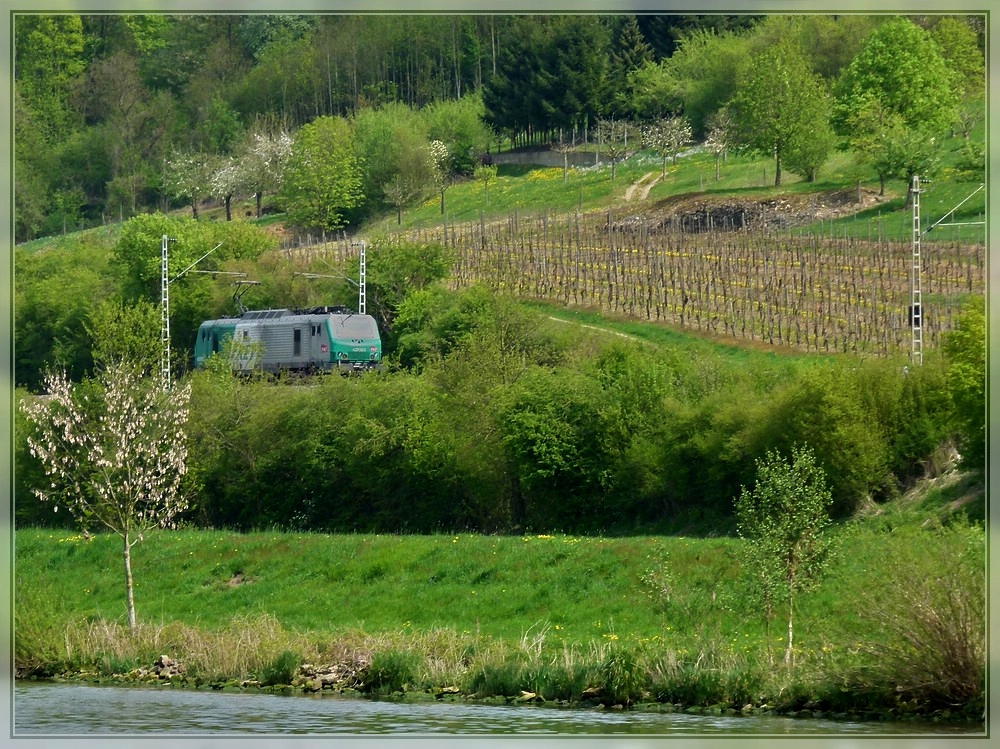 BB 37003 is running alone through the beautiful landscape of the Moselle valley between Temmels and Oberbillig on April 17th, 2011 
