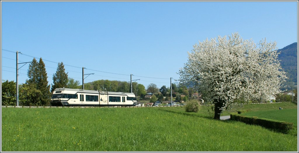 CEV GTW 2/6 on the way to Vevey by the Castle of high-city.
10.04.2011