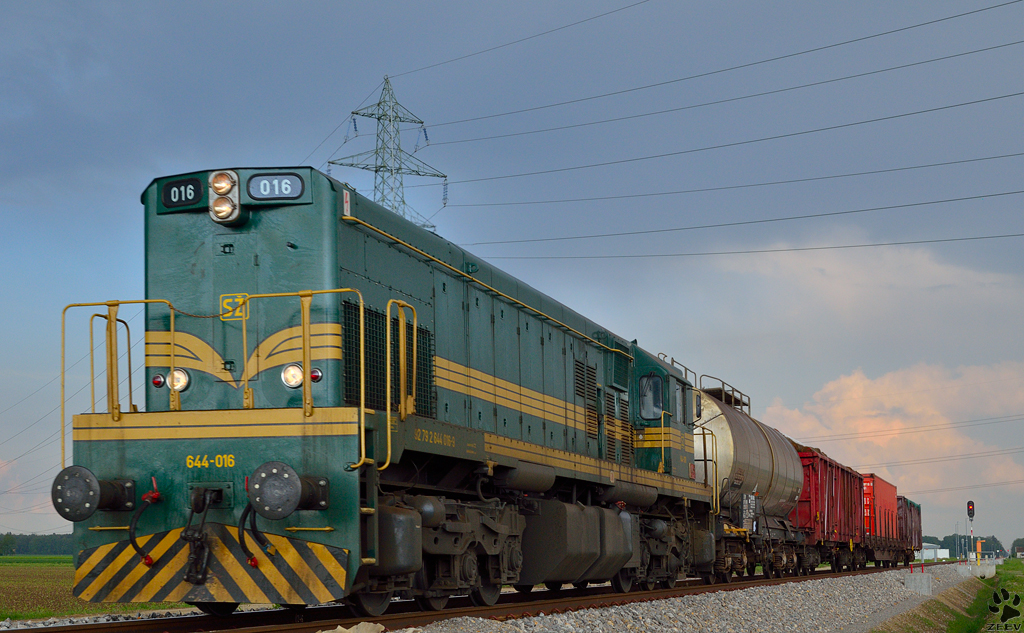 Diesel loc 644-016 is hauling freight train through Cirkovce on the way to Pragersko station. /8.5.2013