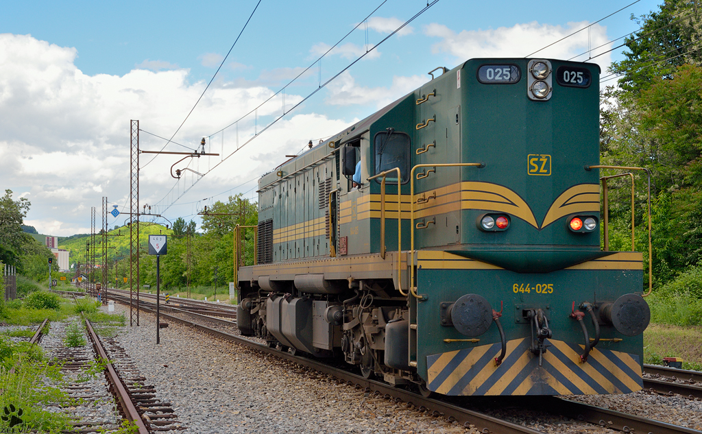 Diesel loc 644-025 is running through Maribor-Tabor on the way to Studenci station. /20.5.2013