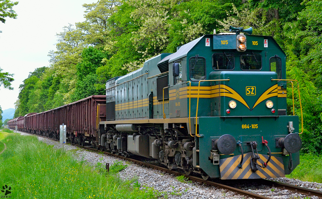 Diesel loc 664-105 is hauling freight train through Maribor-Studenci on the way to Tezno yard. /16.5.2013