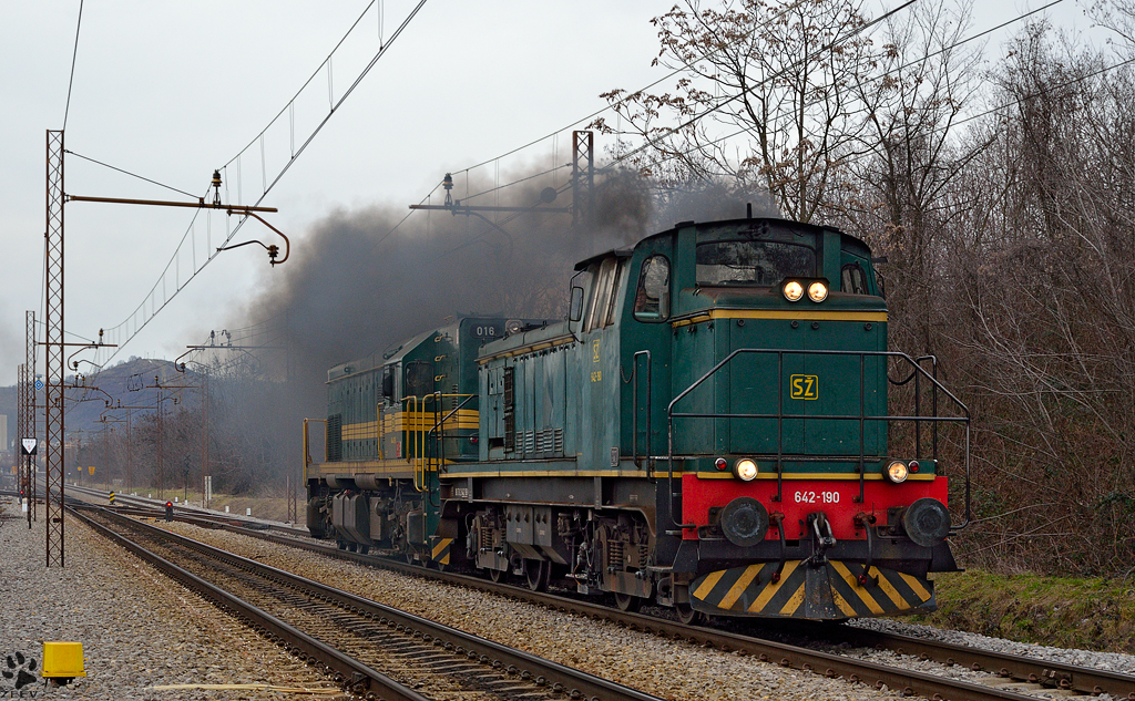 Diesel locs 642-120+644-016 are running through Maribor-Tabor on the way to Tezno yard. /5.2.2013