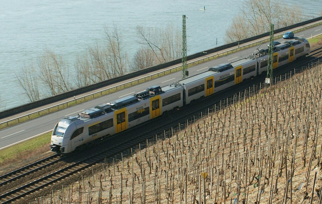 Et 460 between vineyards an the Rhein on the Way to Koblenz by Boppart. 
18.03.2010