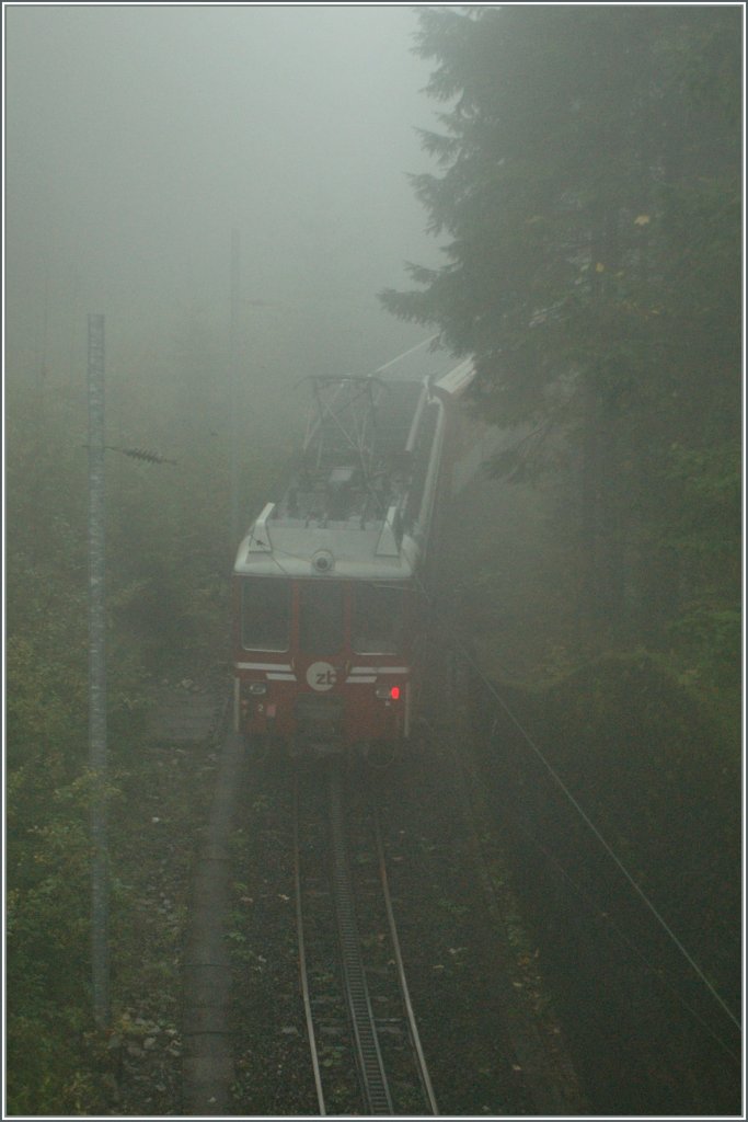 Heavy fog in the dark wood by  Grnenwald  on the LSE Line to Engelberg.
18. 10.2010