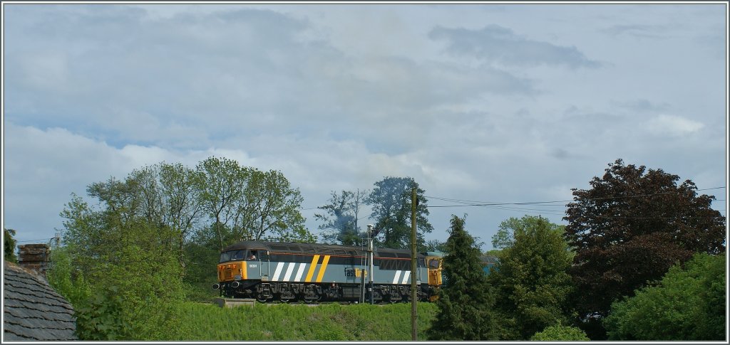 In the wood by Corfe Castle: 53 031 (and 37 503).
Swanage Railway Diesel Gala, 08.05.2011