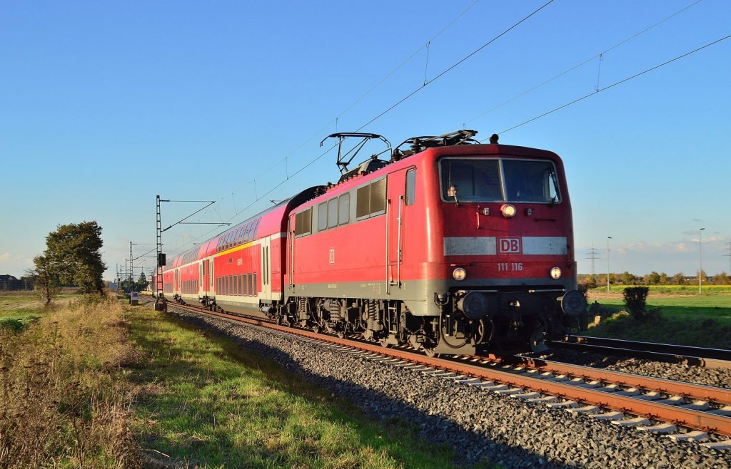 On the blueskyday of saturday the 27th of octobre 2012 this class 111 116 went to Rheine with it's RE7 train in it's back. Here is the train near Allerheiligen.