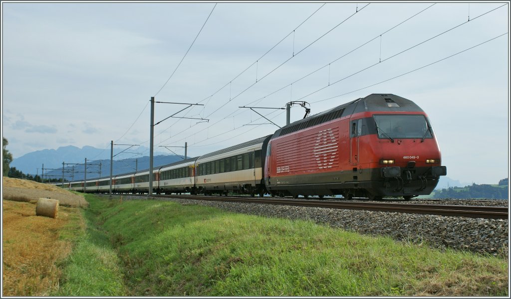 SBB Re 460 049-0 with an IR to Luzern by Oron. 
10.08.2010