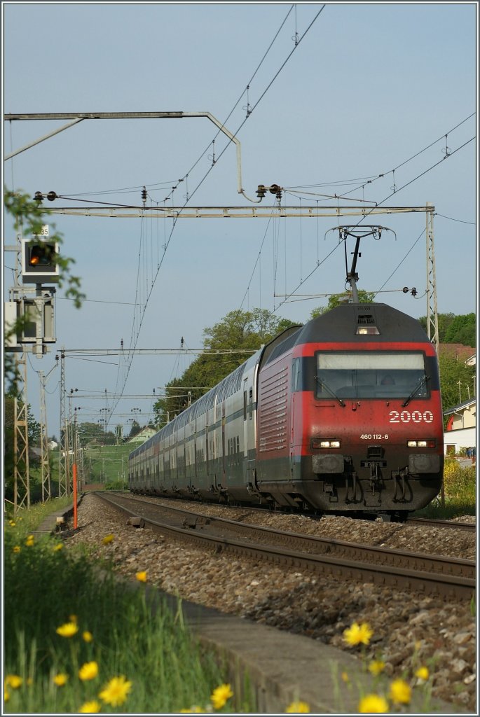 SBB Re 460 112-6 with an IC by Neruz. 
08.05.2009 