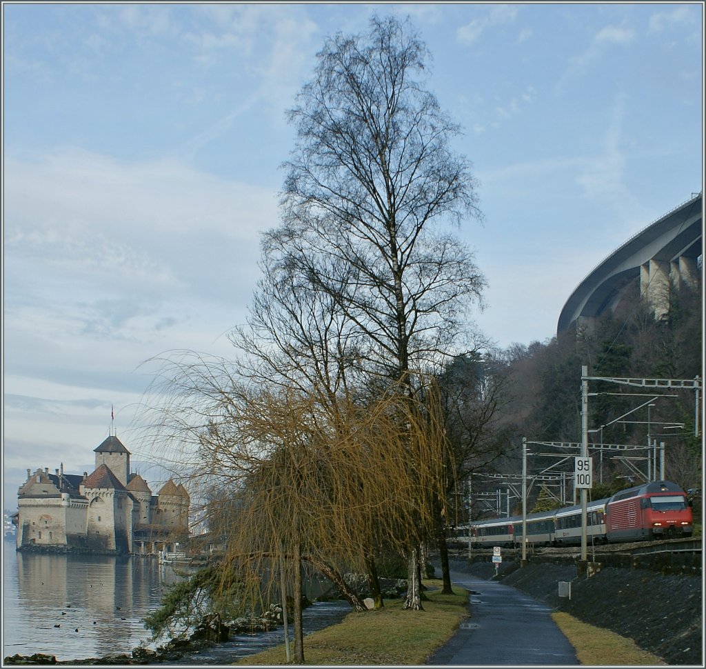 The Castle, a Tree and a train: Re 460 with a IR on the way to Brig.
13. 01.2011