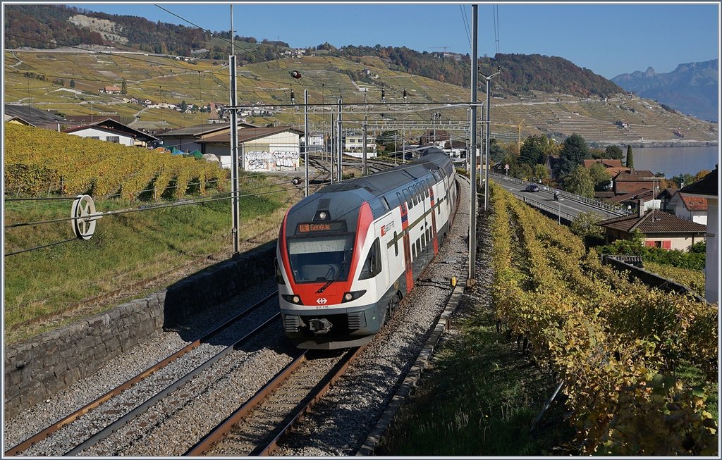 The SBB RABe 511 116 to Geneva by Cully.
16.10.2017