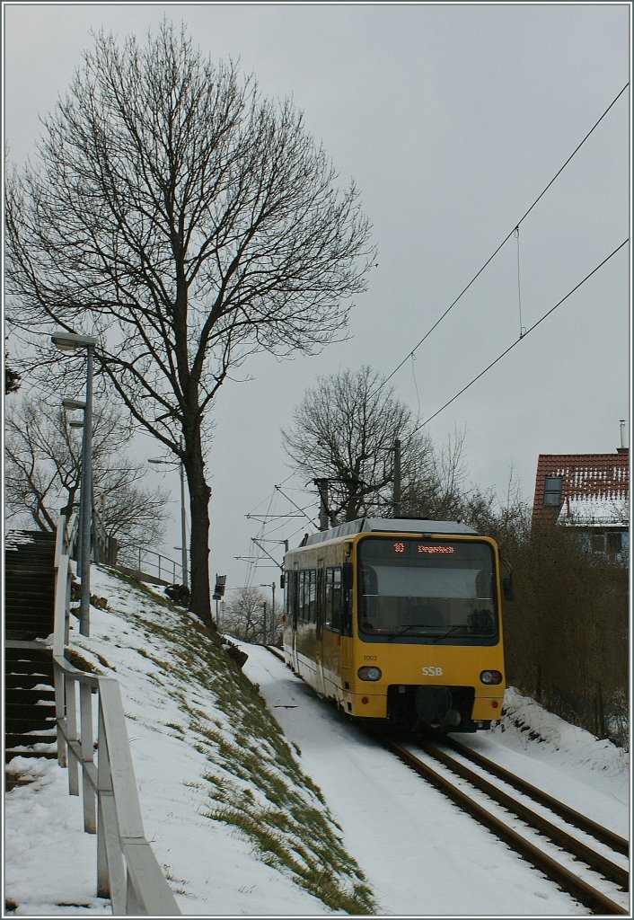 The SSB  Zacke  between Marienplatz and Degerloch. 
13.03.2010