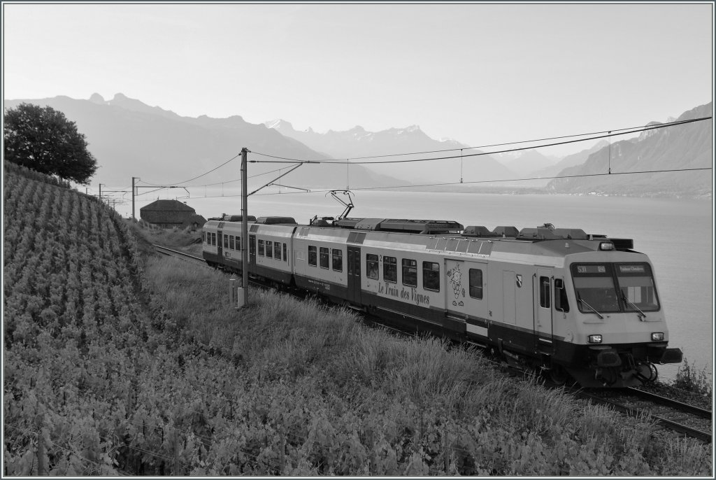 The  Train des Vignes  in Black/Whit.
By Chexbres, 29.05.2011