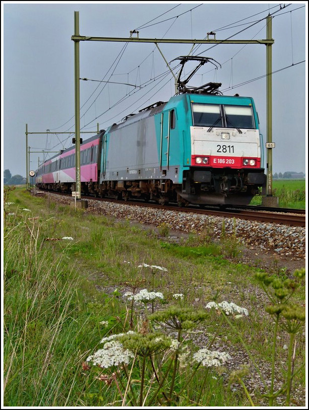 The TRAXX 2811 is heading the IC Amsterdam - Antwerpen near Zevenbergen on September 3rd, 2011.