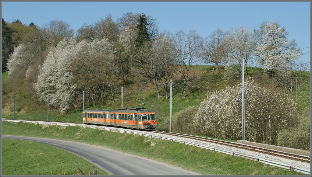 TPF local train to Montbovon in the nice spring-time ambient by Prayoud. 
16.04.2011