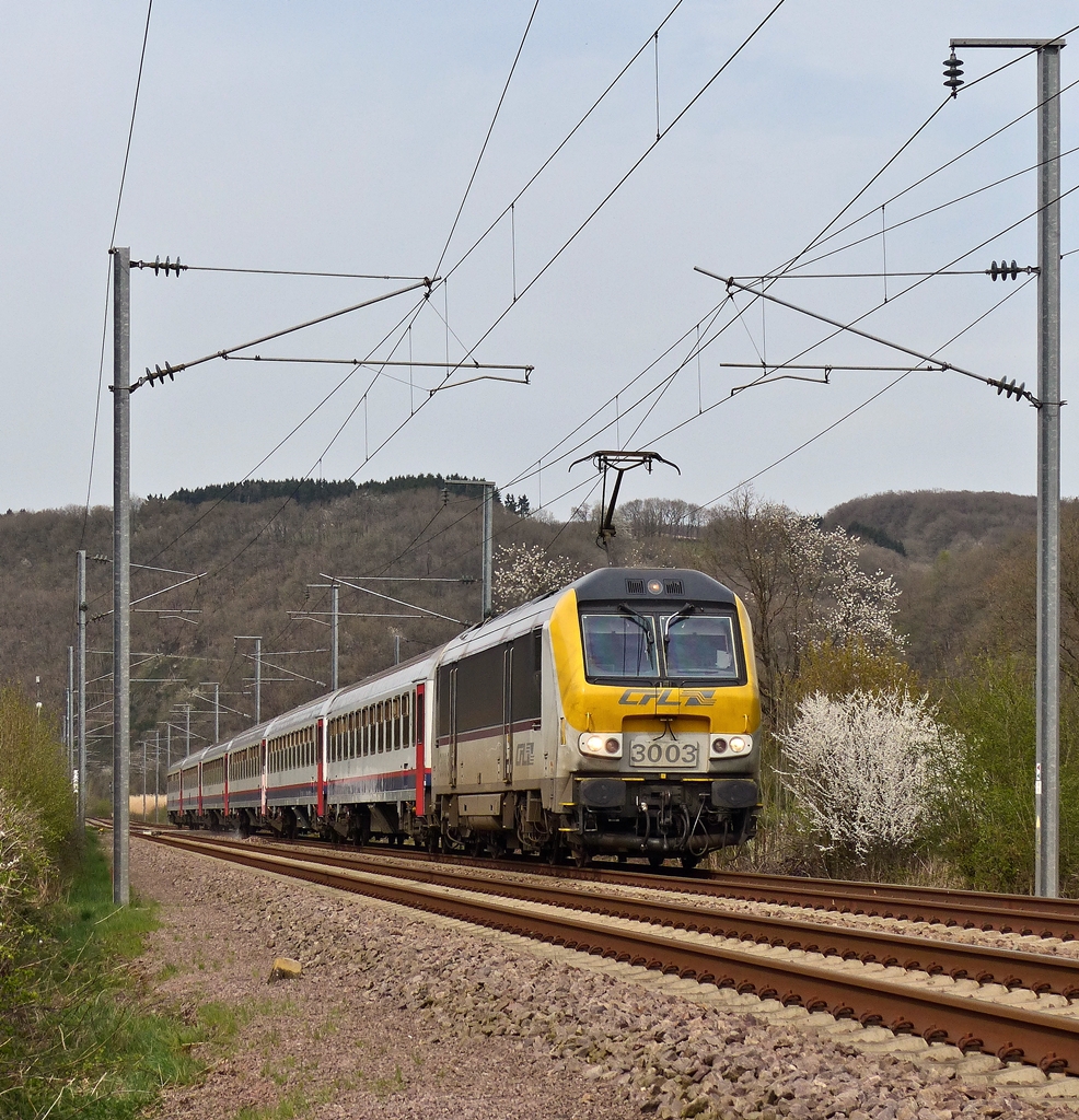 . 3003 is hauling the IC 114 Liers - Luxembourg Ctiy through Erpeldange/Ettelbrck on April 16th, 2015.