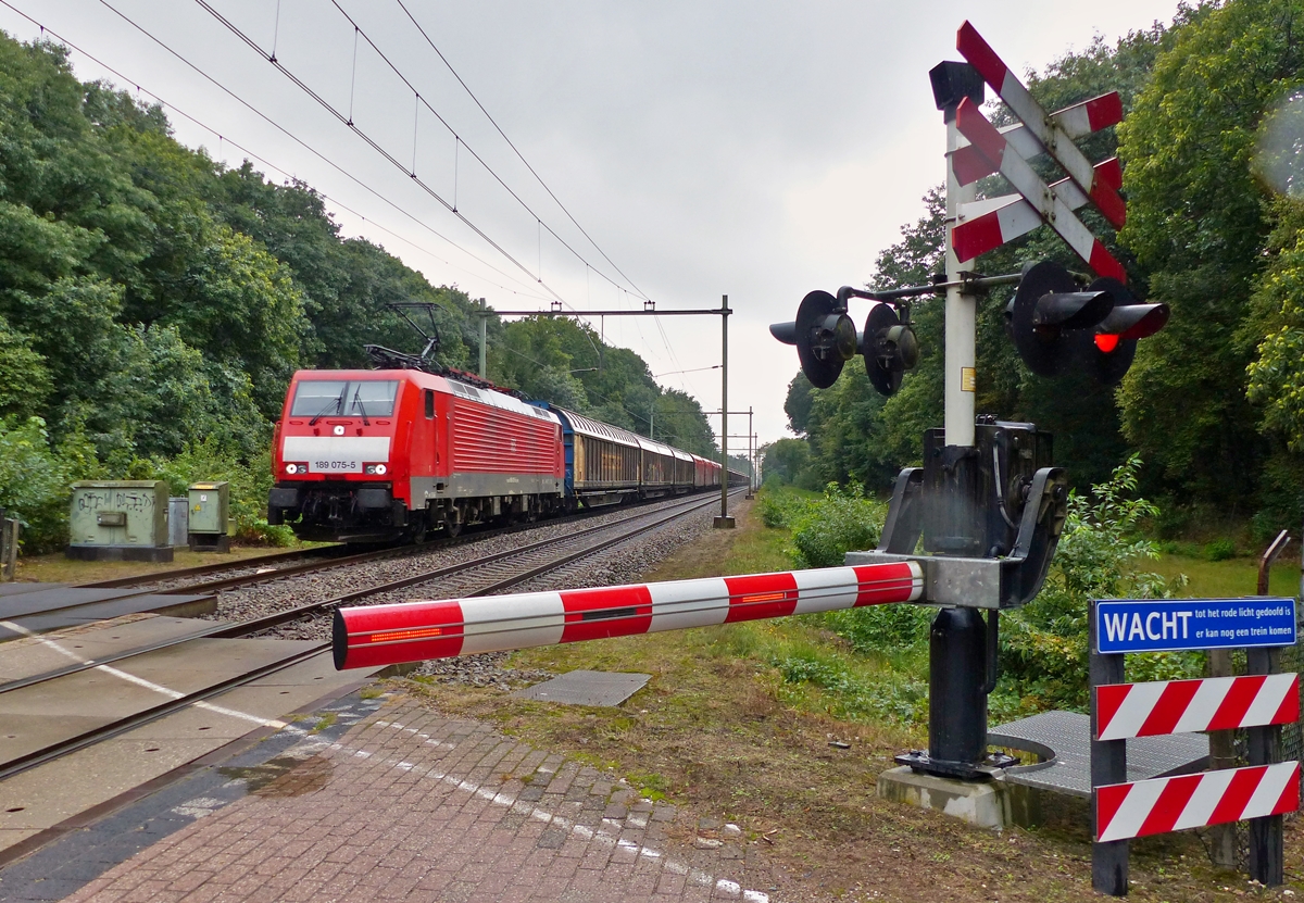 . The DB 189 075-5 photographed with a goods train in Bosschenhoofd (NL) on September 4th, 2015.