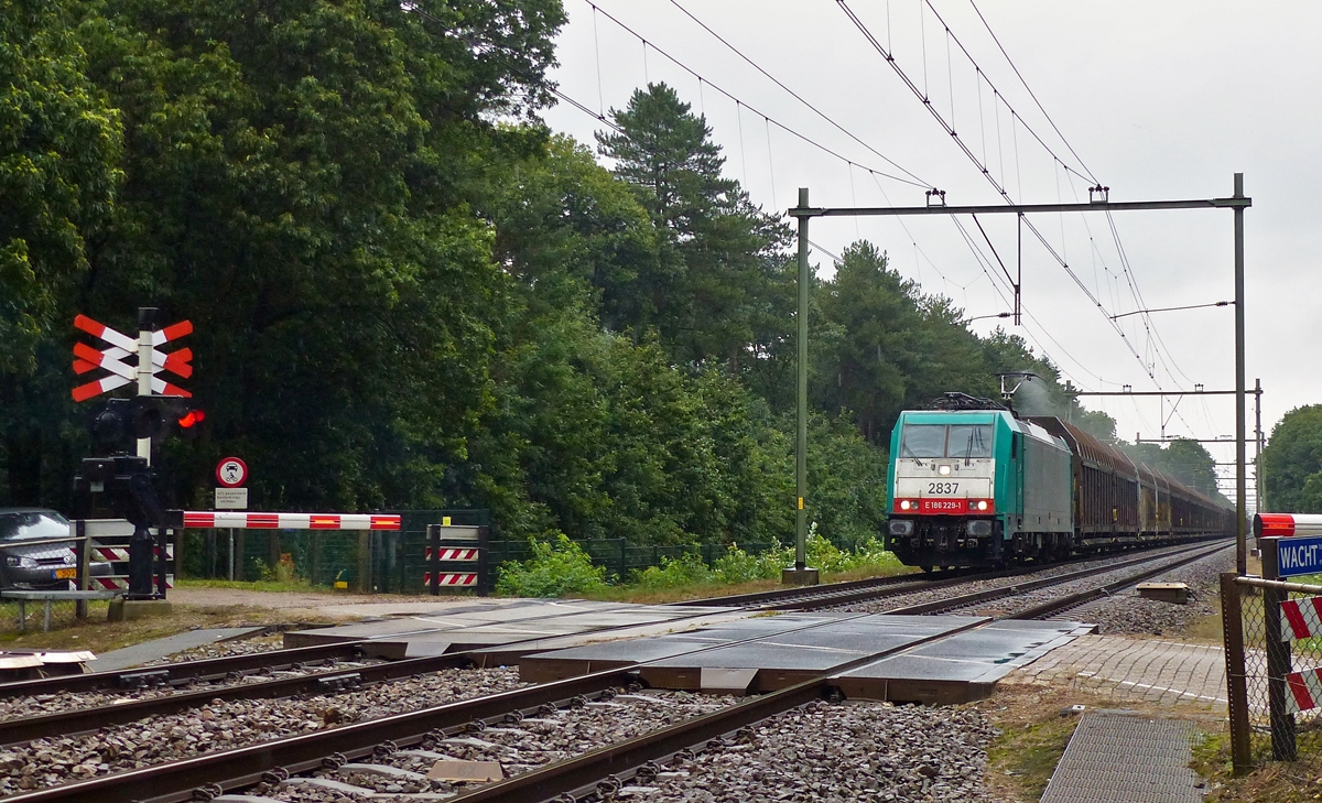 . The SNCB HLE 2837 is hauling a freight train through Bosschenhoofd (NL) on September 4th, 2015.