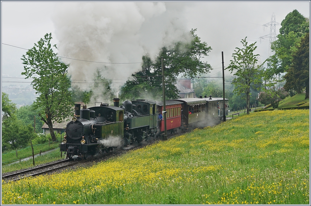 50 years Blonay-Chamby, The Mega Steam Festival 2018: The SBB G 3/4 208 and the CP 164 near Chaulin.

10.05.2018