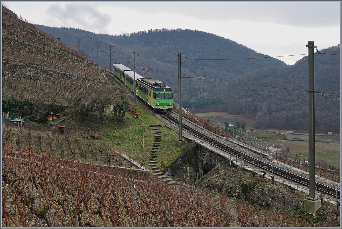 A AL local train in the vineyards over Aigle.
07.01.2018