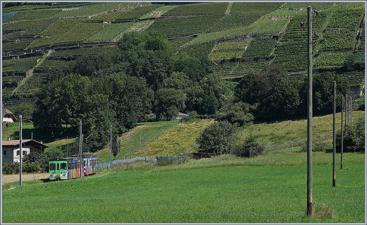 A AOMC local train is arriving at Villy.
26.08.2016