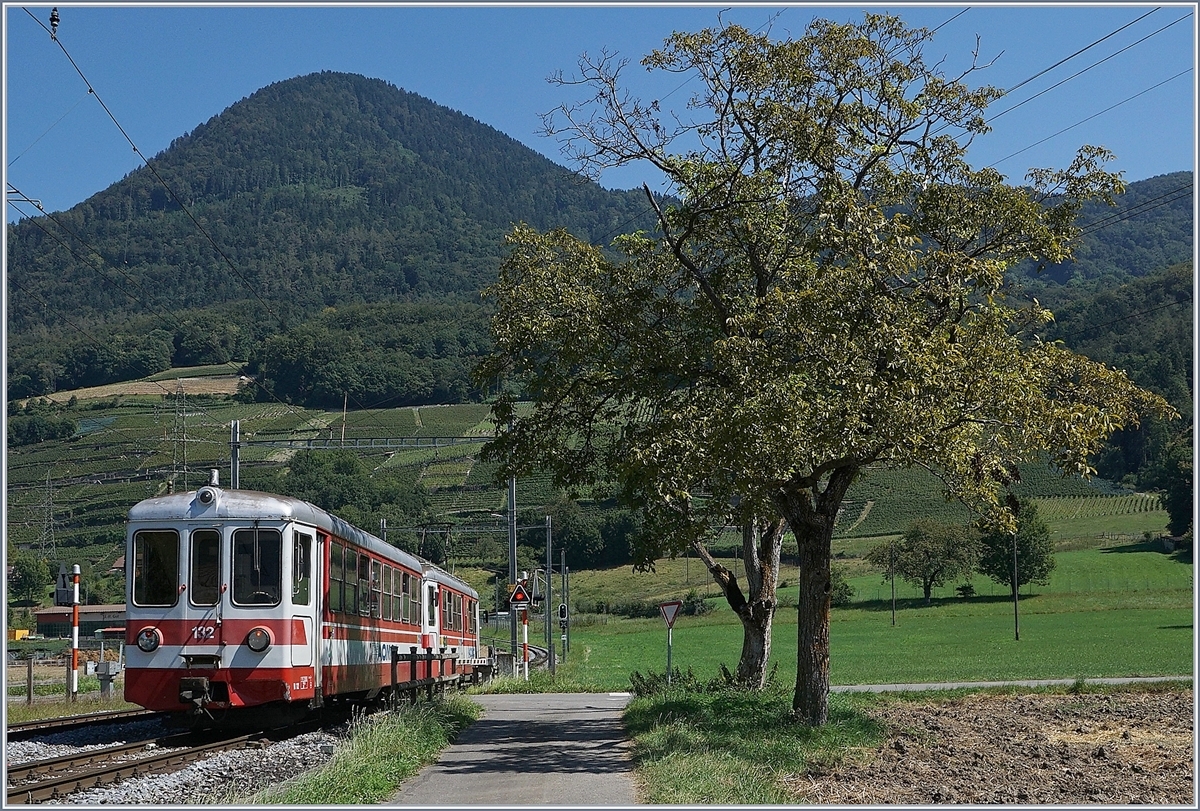 A AOMC local train makes a stop at Villy.
26.08.2016