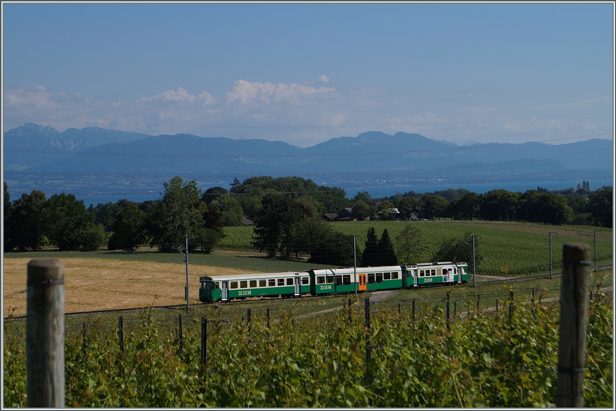 A BAM local train by Vufflens le Château.
16.06.2014