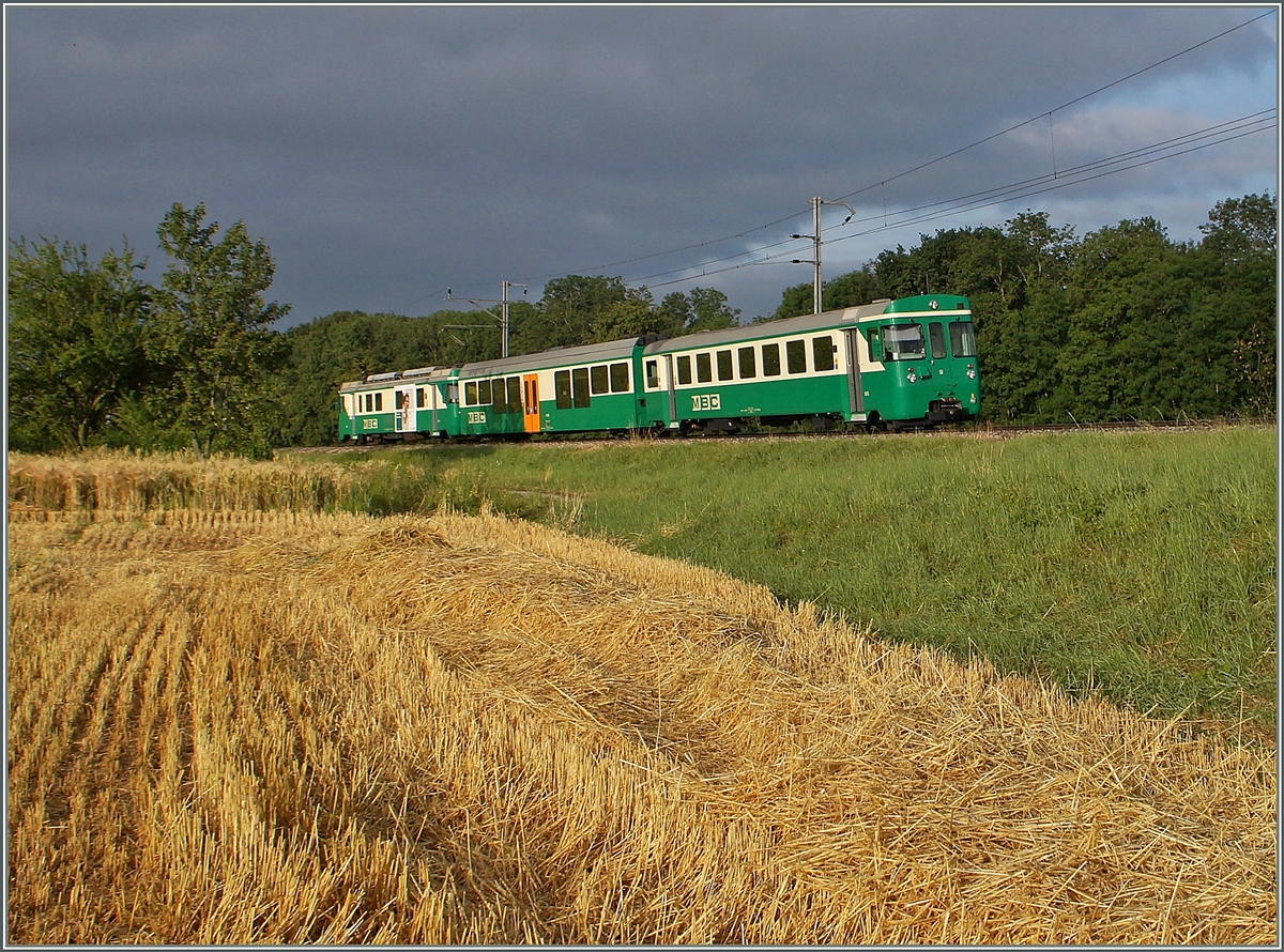 A BAM local train near Vufflens le Château.
03.07.2014