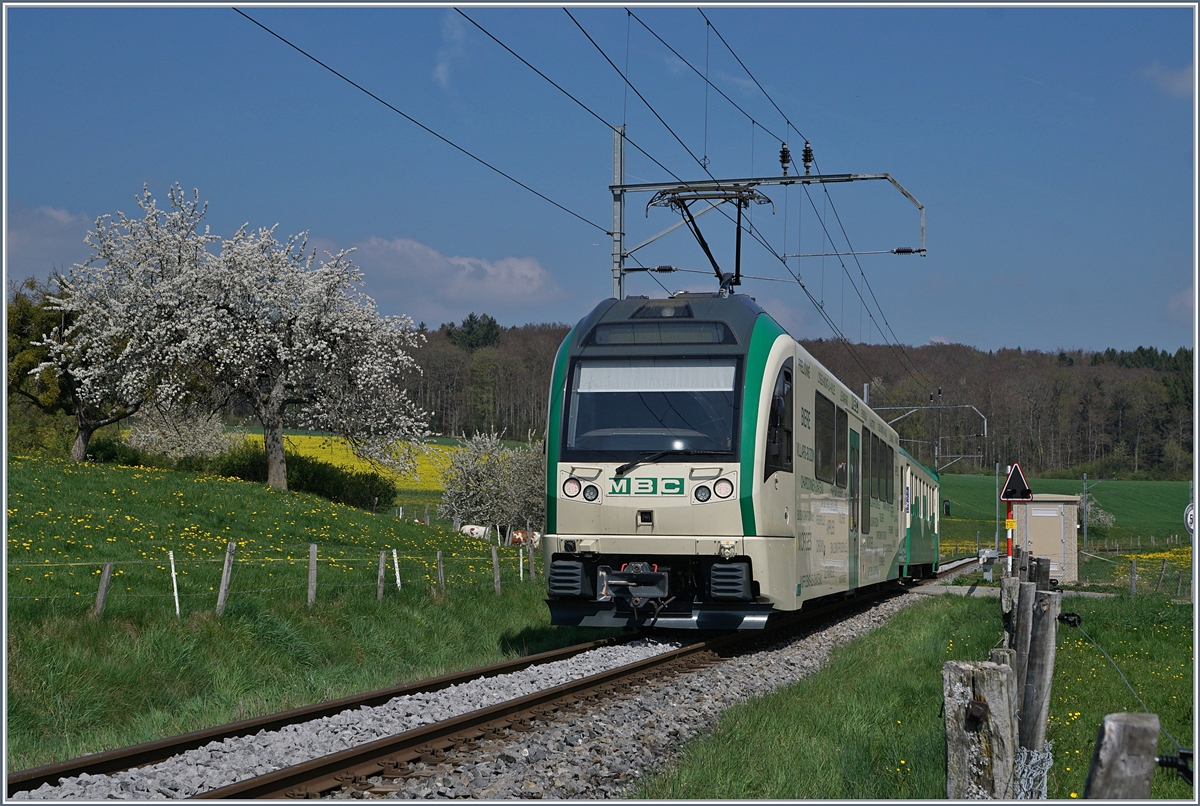 A BAM local train on the way to L'Isle near Apples.
11.04.2017