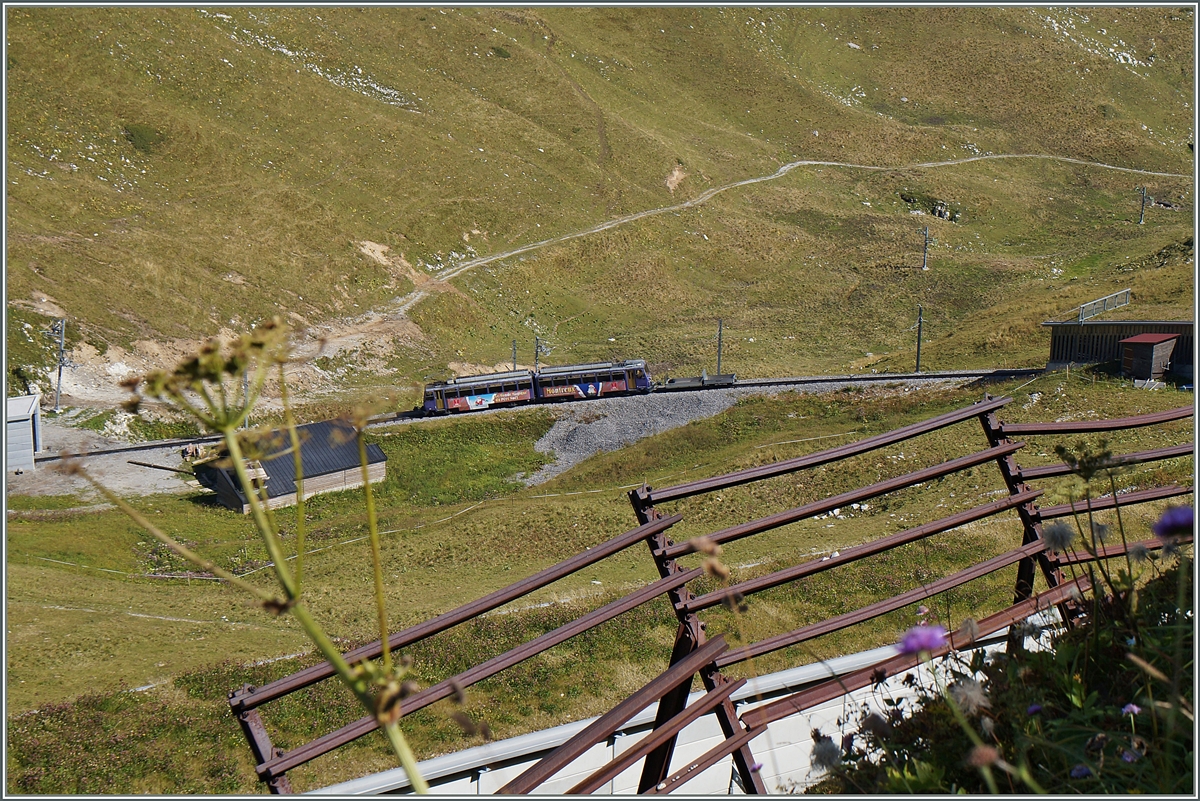 A Beh 4/8 ont the way to the summit near the Rocheres de Naye Station.

04.09.2014