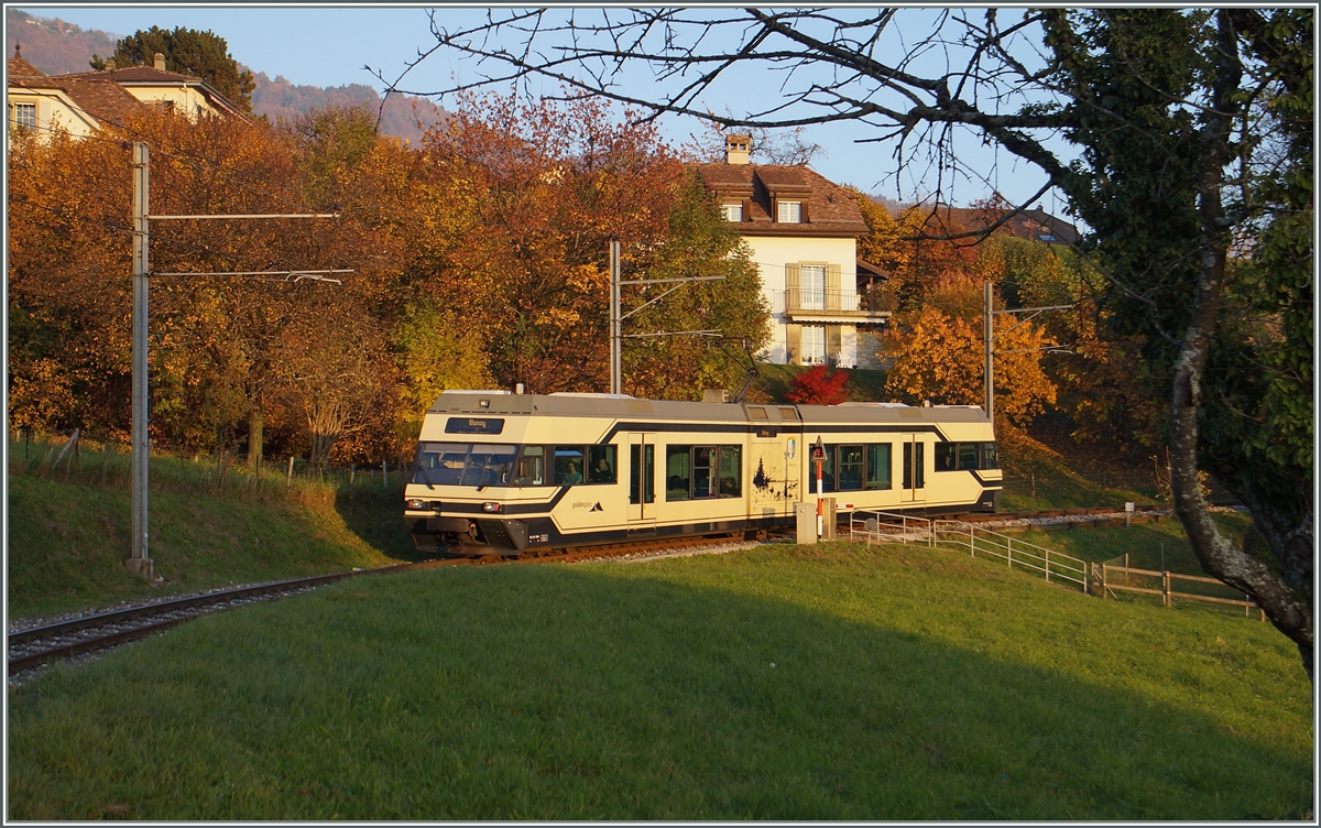 A CEV MVR GTW Be 2/6 by St Légier Gare.
02.11.2016