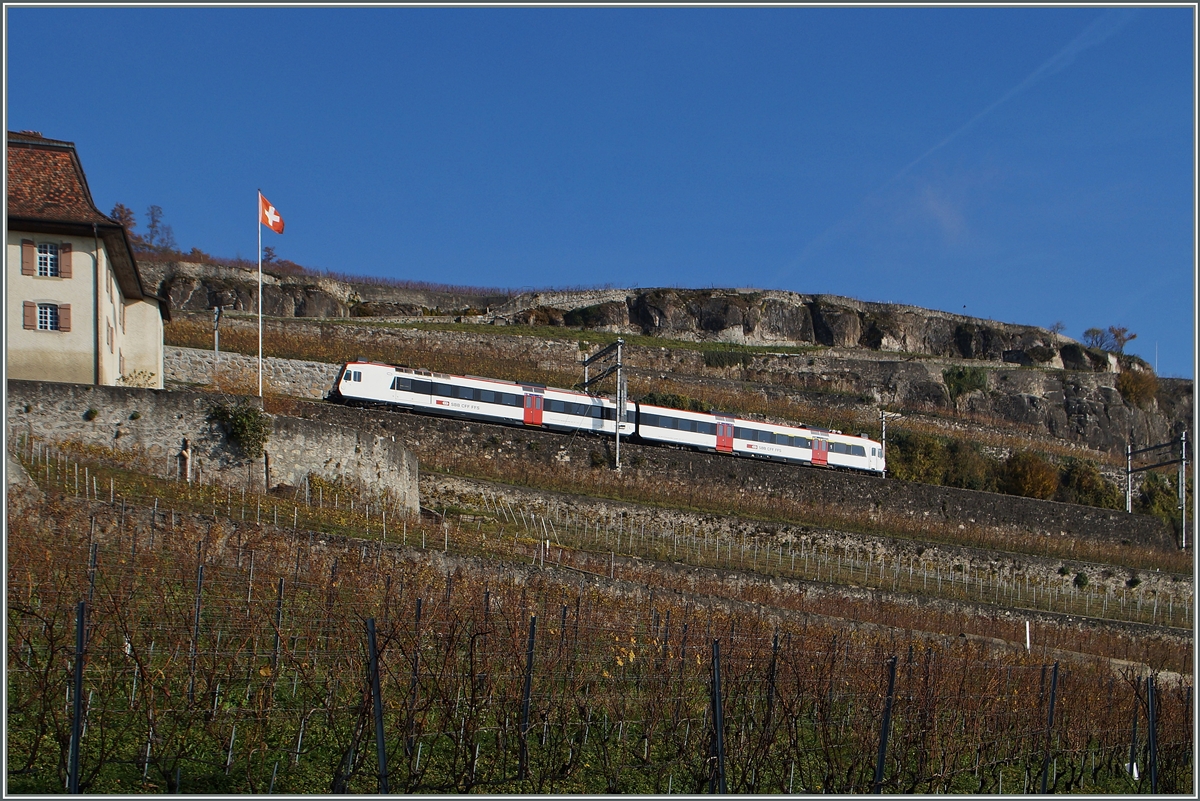 A Domino in the Vineyards by Chexbres on the way to Puidoux-Chexbres. 
22.11.2014