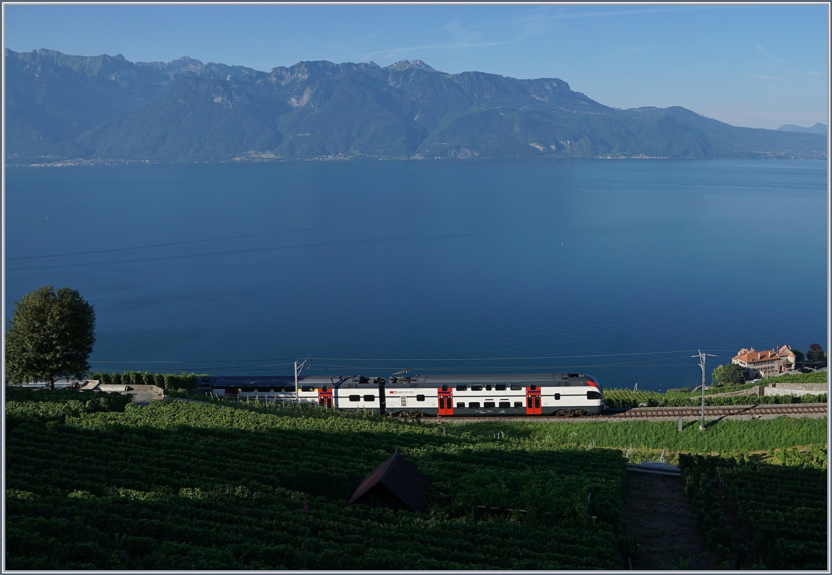 A early summer mornign on the Vineyard-Line by Chexbres wiht an SBB RABe 511.

27.07.2018