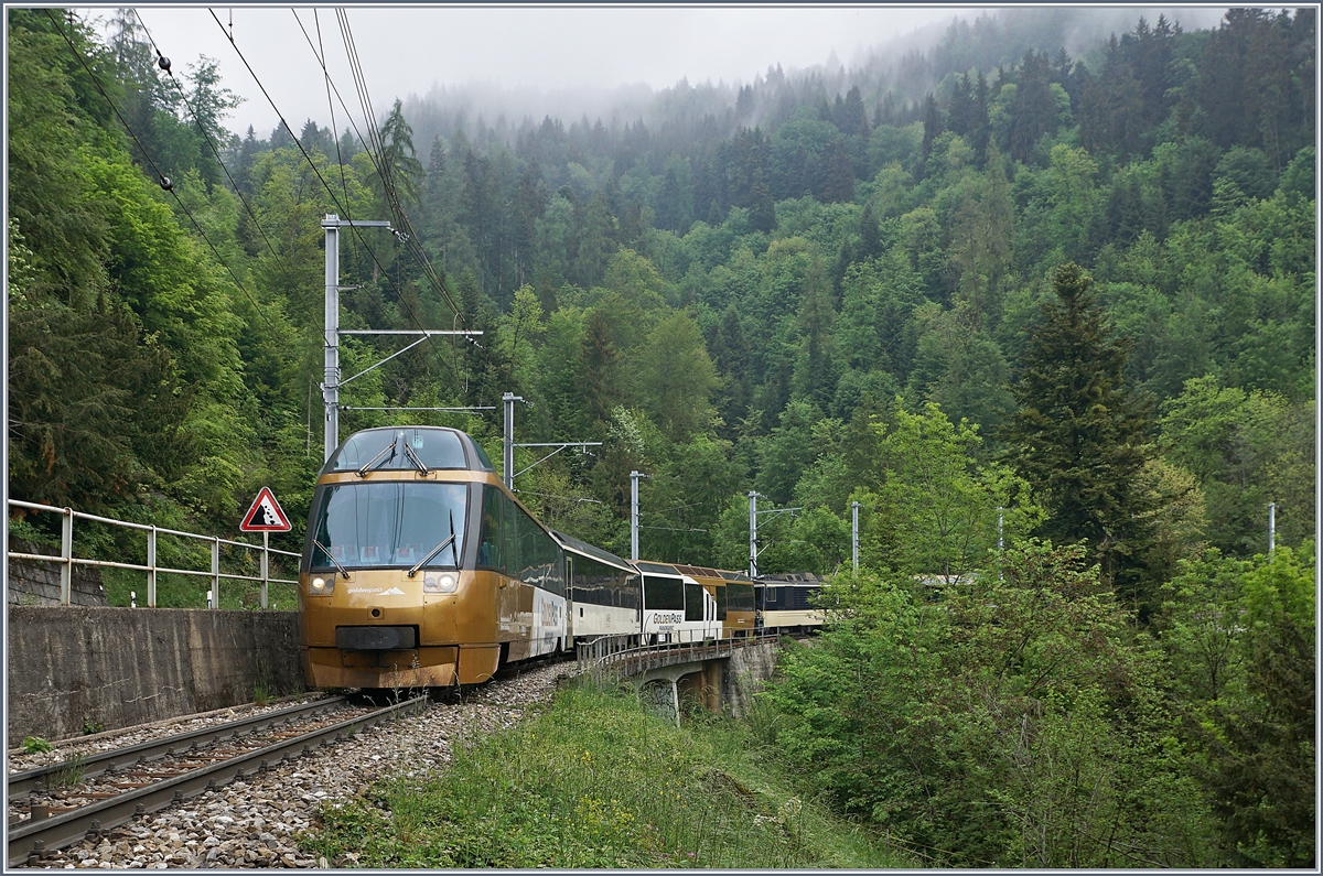 A MOB Golden Pass Panormique Express on the way to Montreux near Les Avants. 

16.05.2020