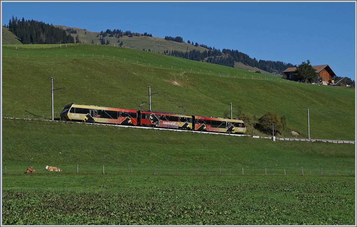 A MOB local train from Rougemont to Lenk im Simmental by Schönried.
30.09.2016  