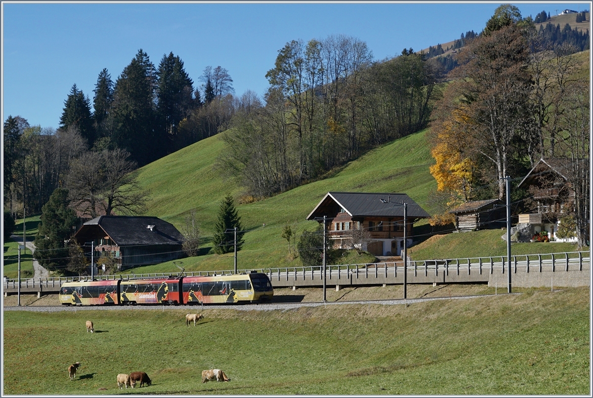 A MOB local train to Zweisimmen between Schönried and Saanenmöser.
29.10.2016