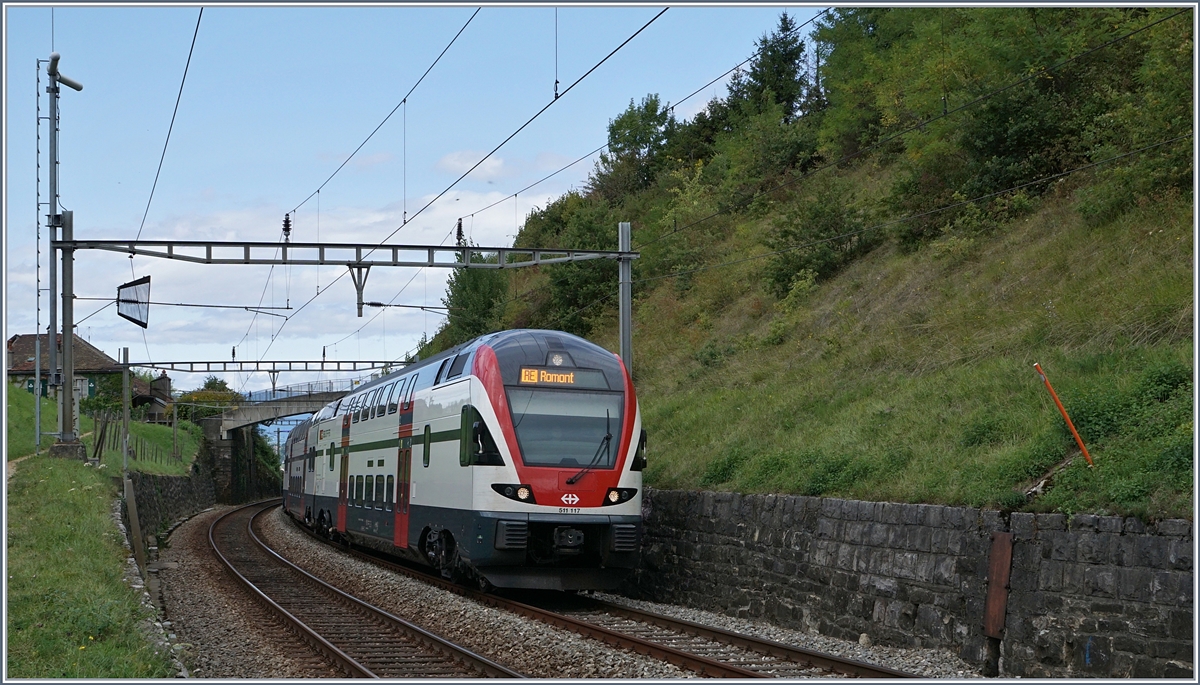 A RABe 511 on the way to Romont between Bossière and Grandvaux
06.09.2017