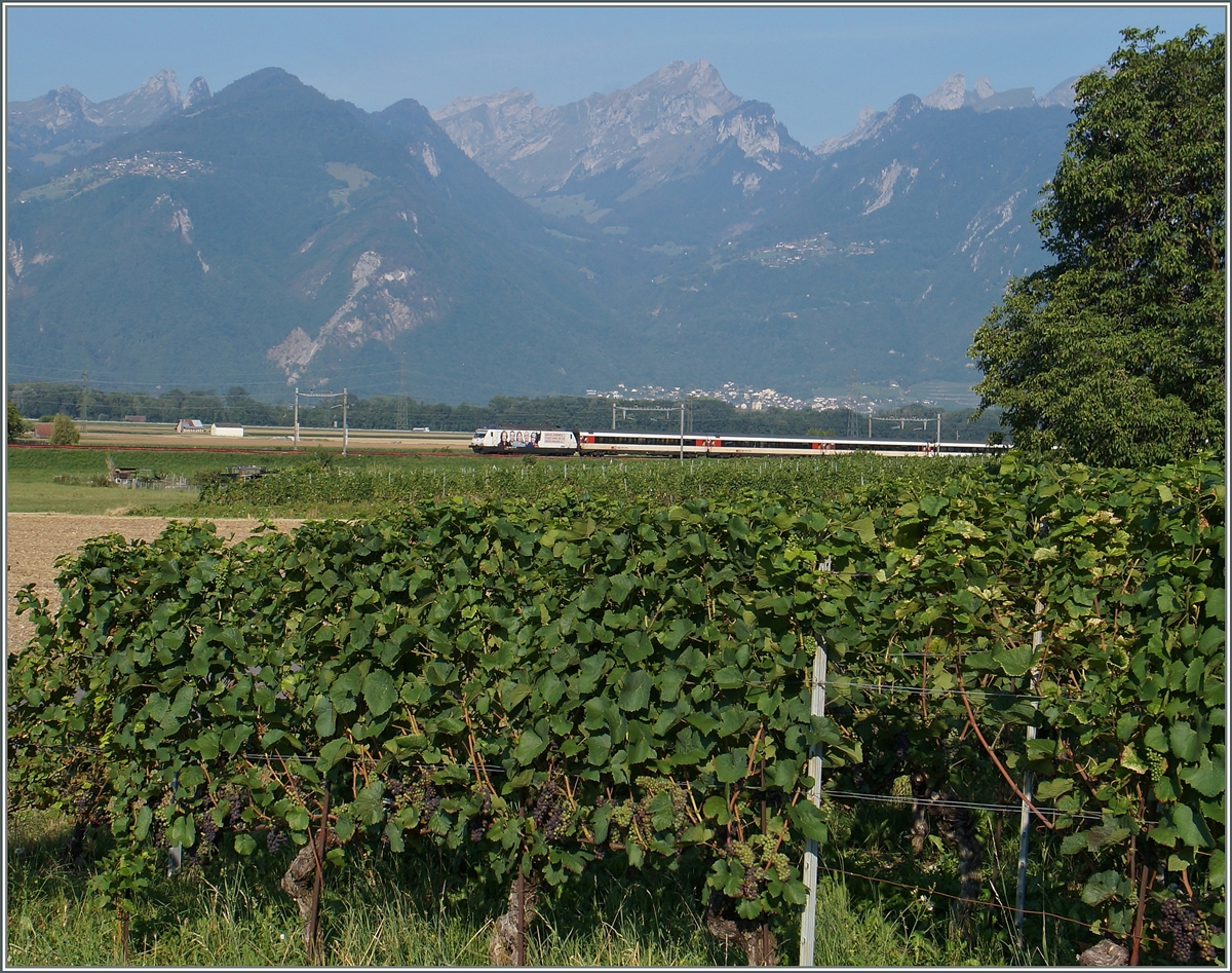 A Re 460 with the IR 1809 between Roches VD and Aigle. 
12.08.2015