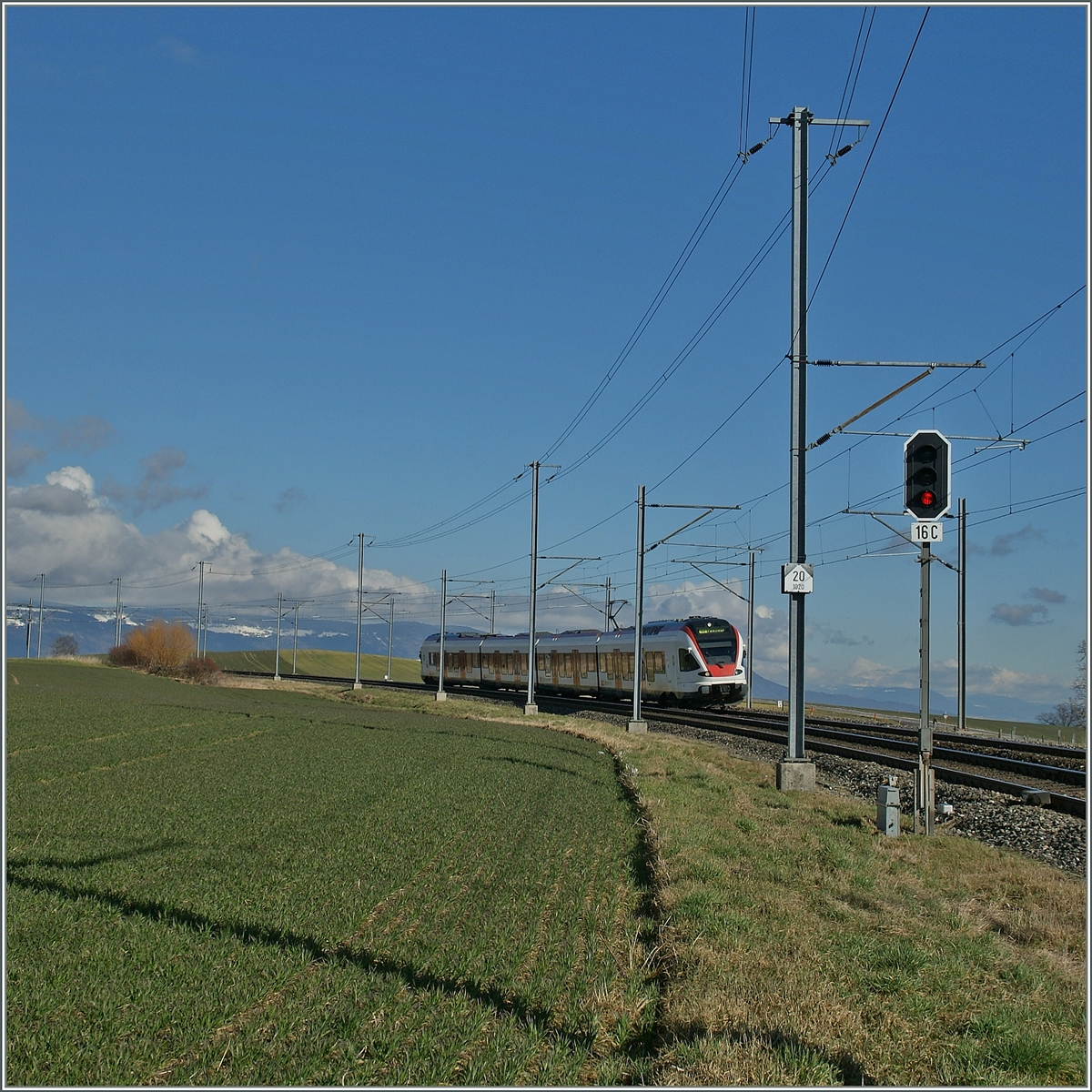 A SBB Flirt on the way from Vallorbe to Lausanne by Arnex.
12.02.2014