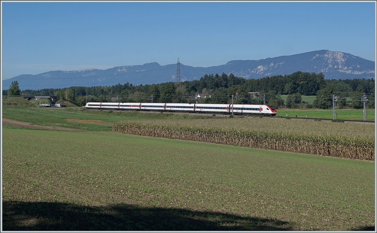 A SBB ICN RABe 500 on the way from Genève to Rorschach on highspee line Solothurn Wanzwil - (Rothrist) by Bolken. 

12.09.2022
