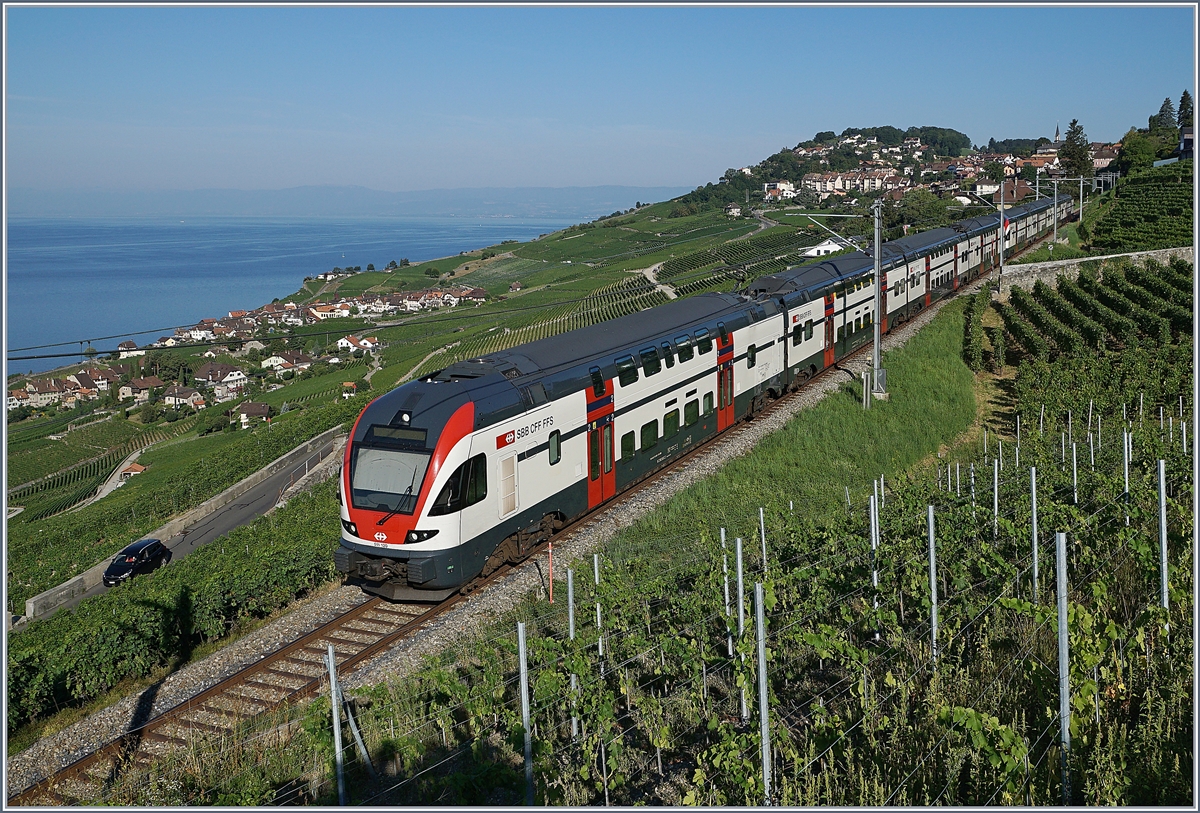 A SBB RABe 511 between Vevey and Chexbres. 

27.07.2018