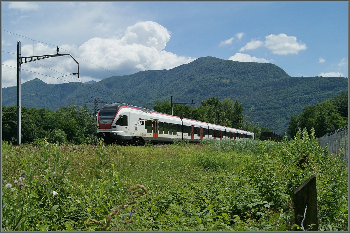 A SBB RABe 524 on the way to Locarno, in the back the Ticino Bridge.
21.06.2015