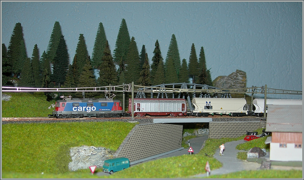 A SBB Re 421 with a Cargo train of my Alpen Part on my model railroad area.
01.11.2013
